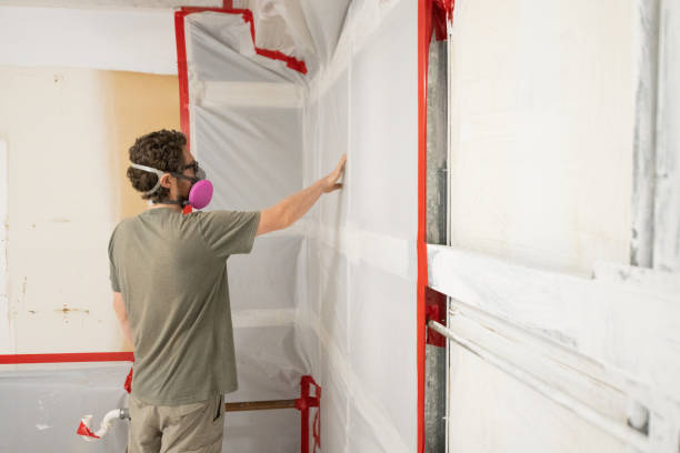 Best Mold Damage Restoration  in Boonton, NJ