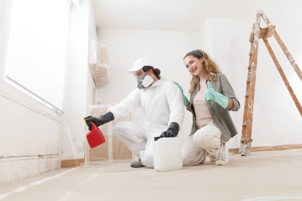 Best Mold Odor Removal Services  in Boonton, NJ